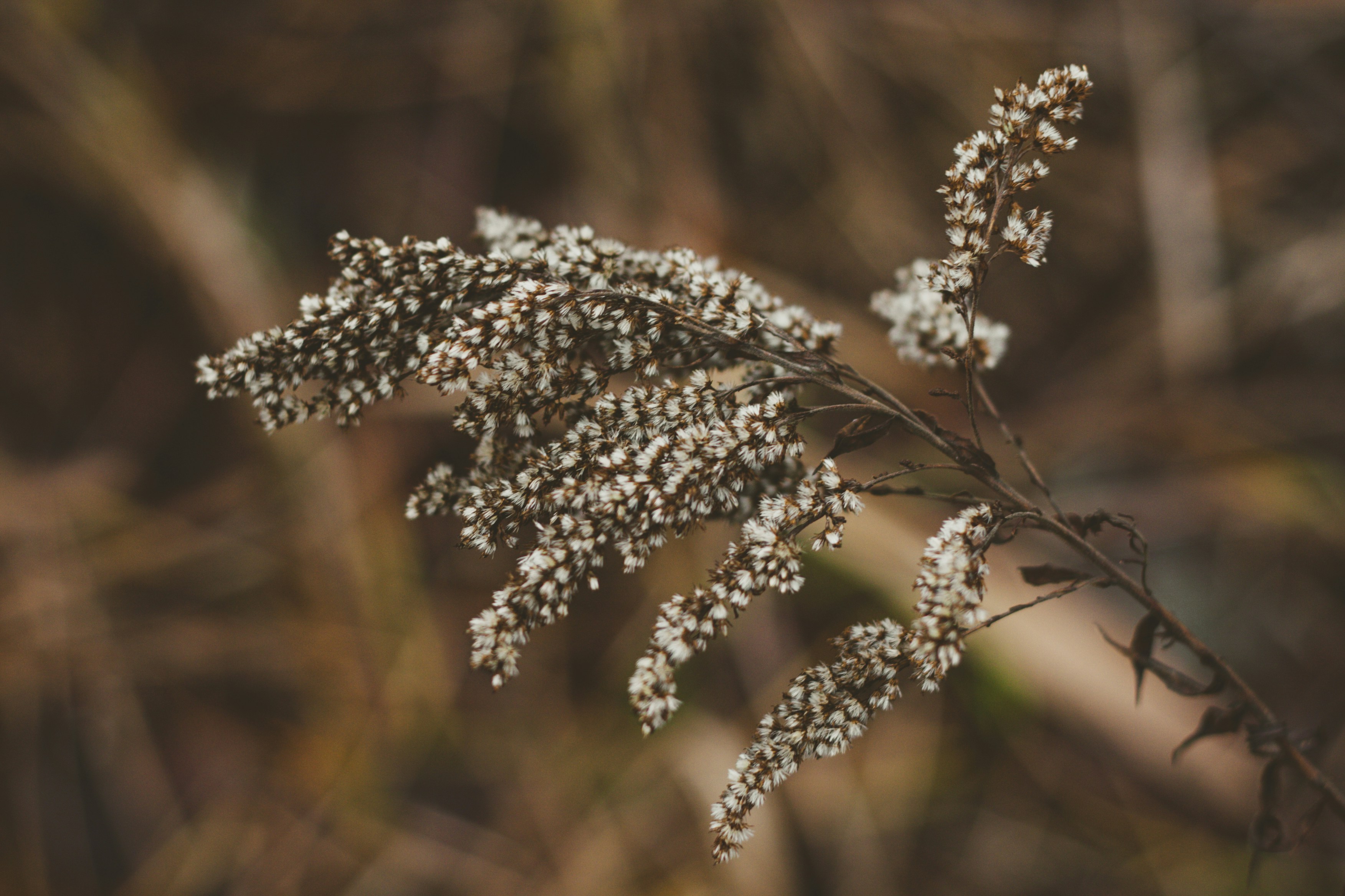 Photo by elizabethokok