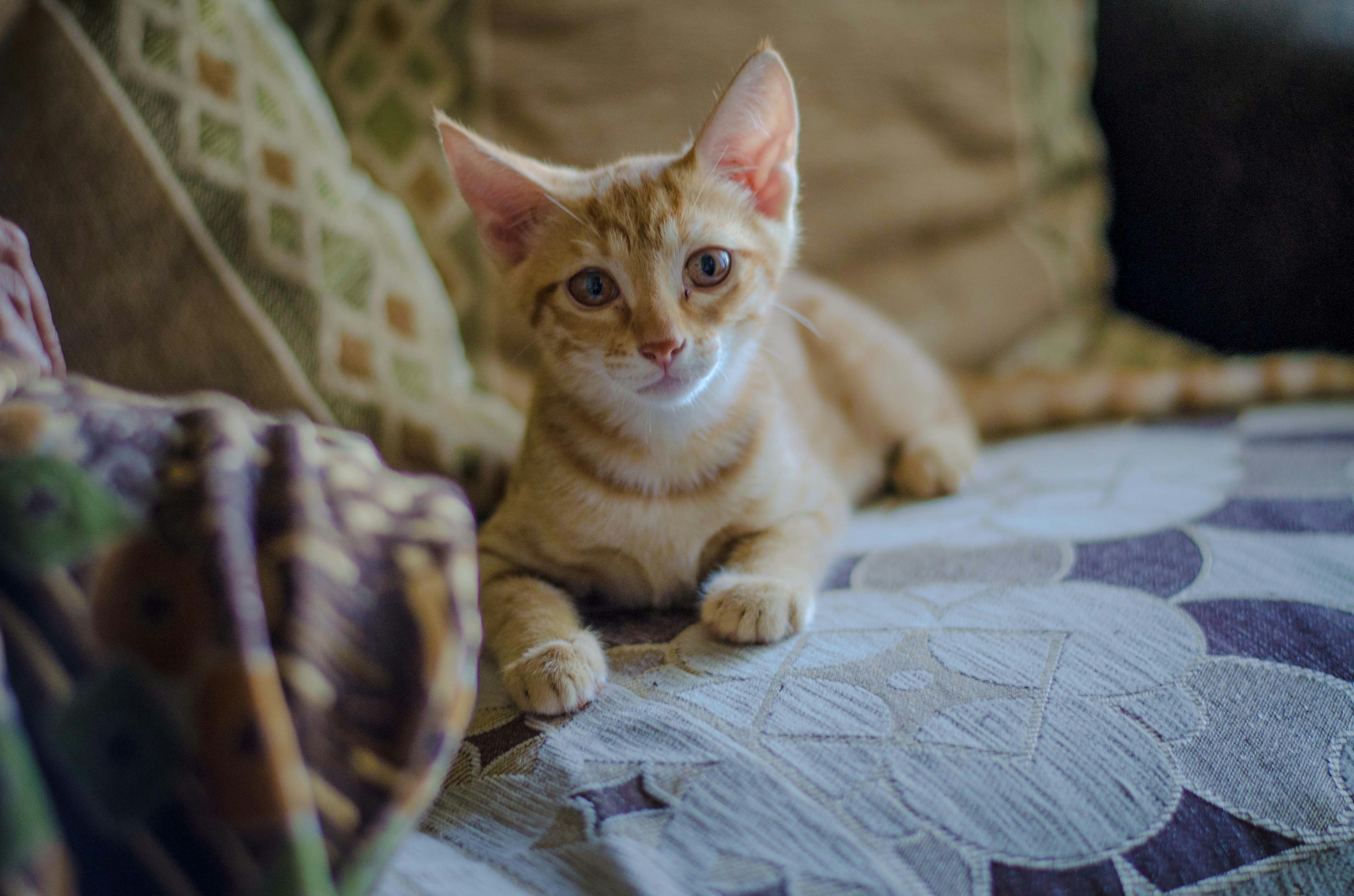 Photo by manaswini_s96