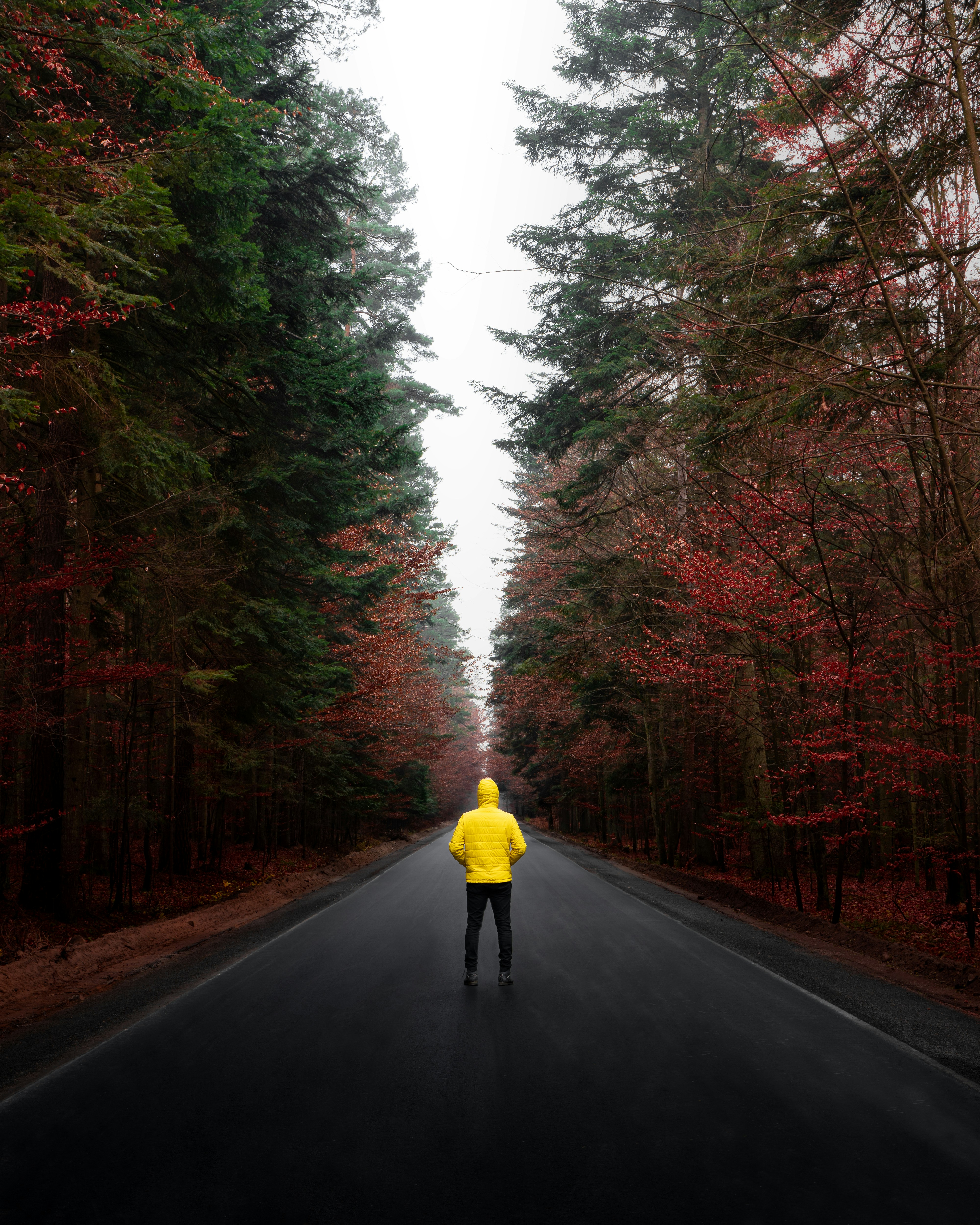 Man standing in the road with trees on both sides.