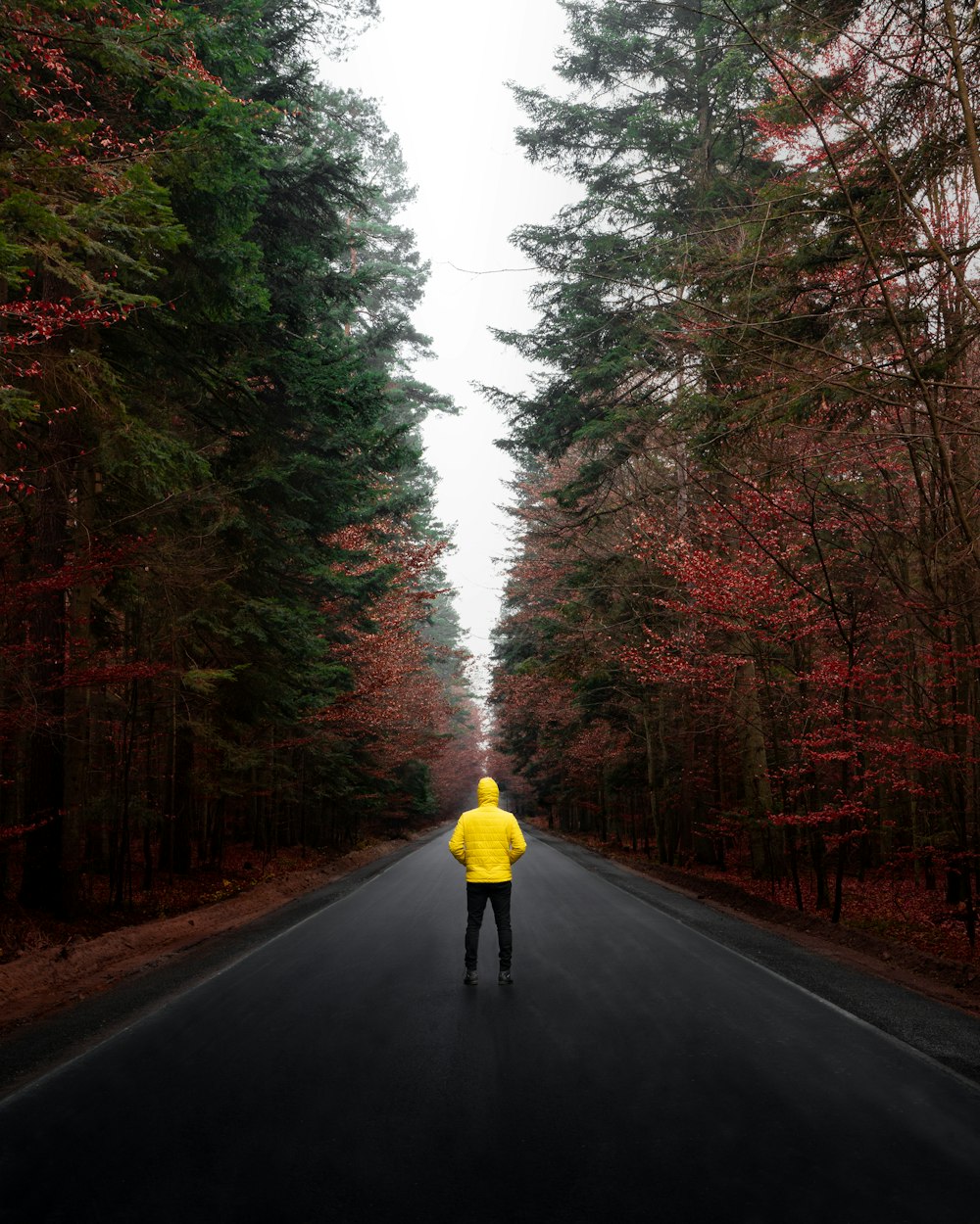 uma pessoa em uma jaqueta amarela andando por uma estrada