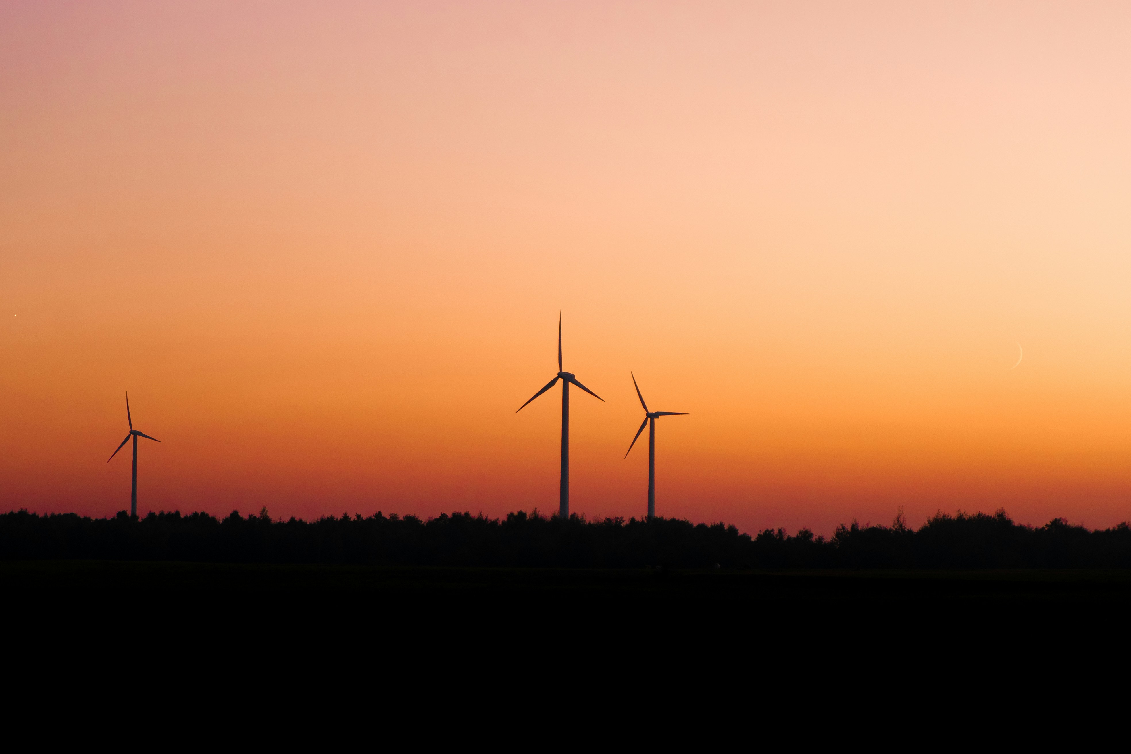 Photo by mateuszsyta