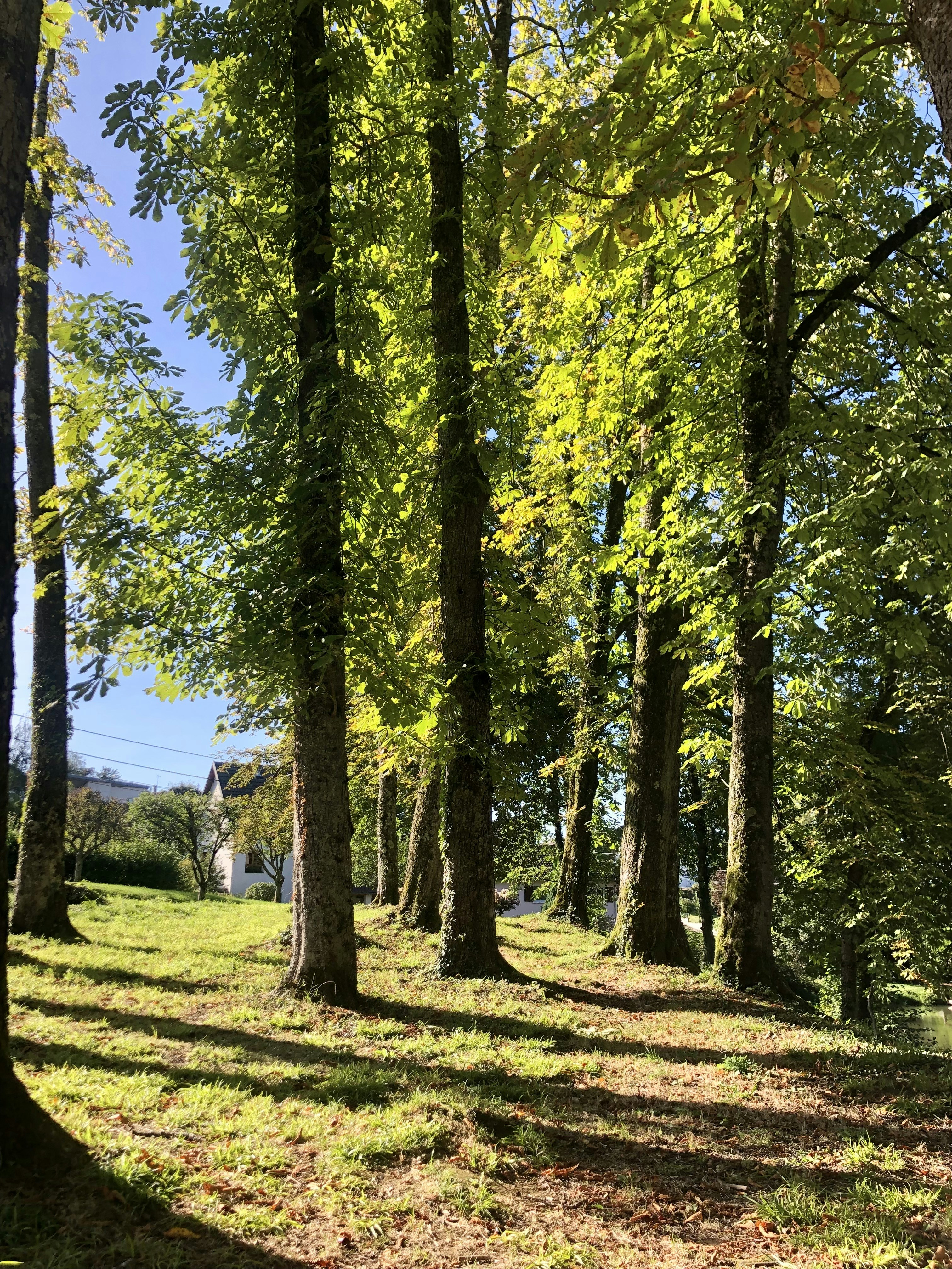 Photo by emmxfourrier