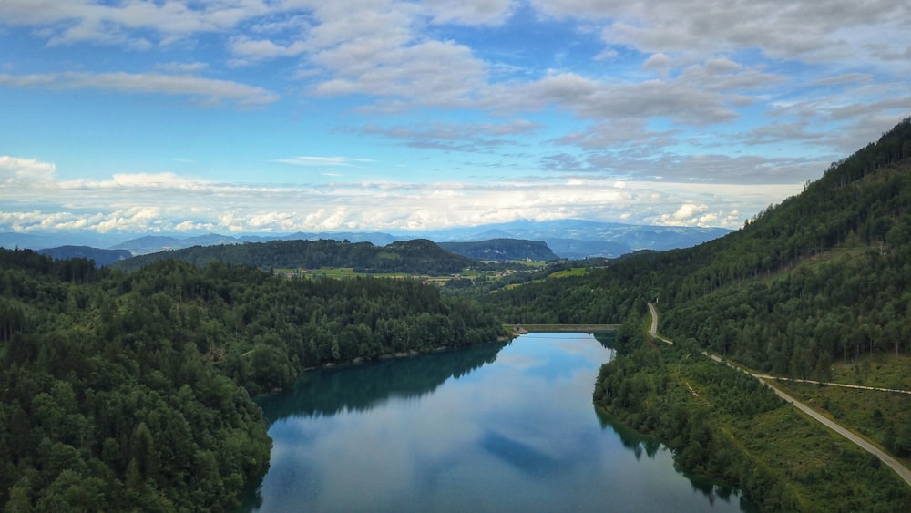 a large body of water surrounded by lush green trees