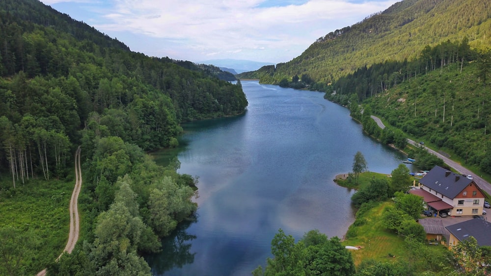 a large body of water surrounded by lush green trees