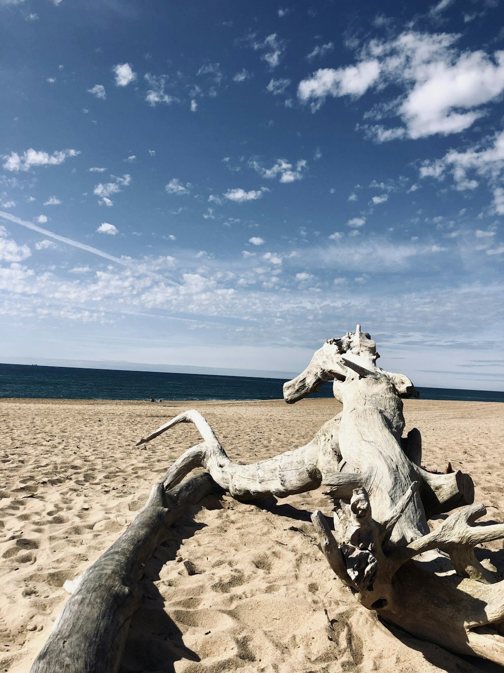 a driftwood on a beach with a blue sky in the background