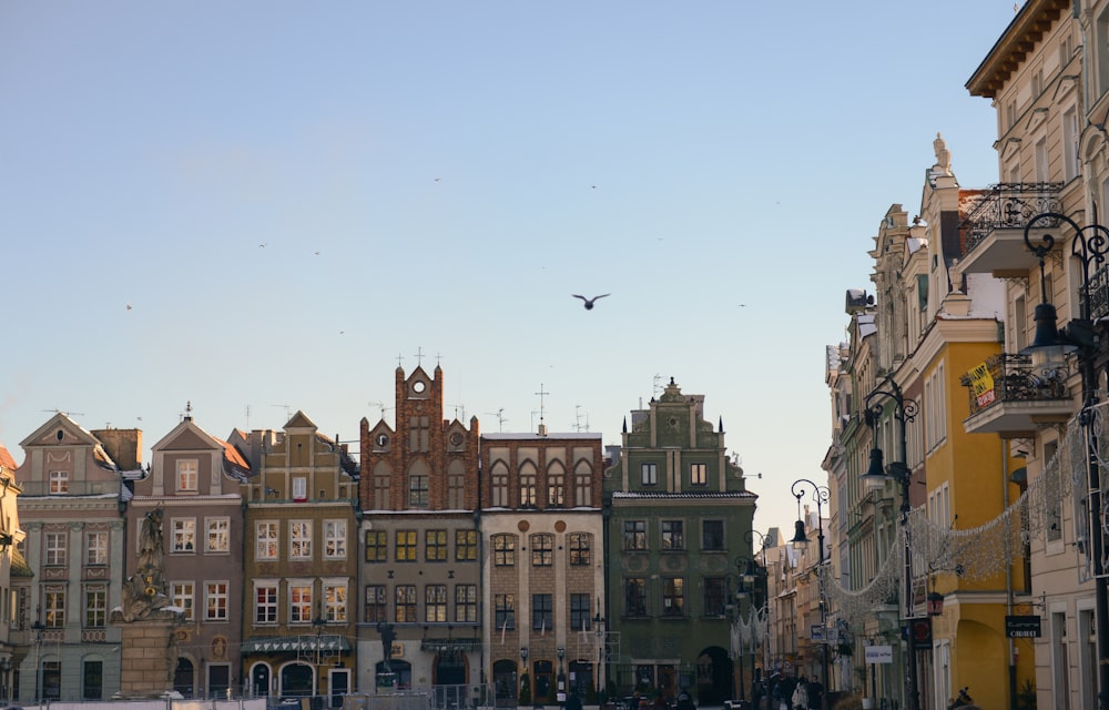a group of buildings with a bird flying over them