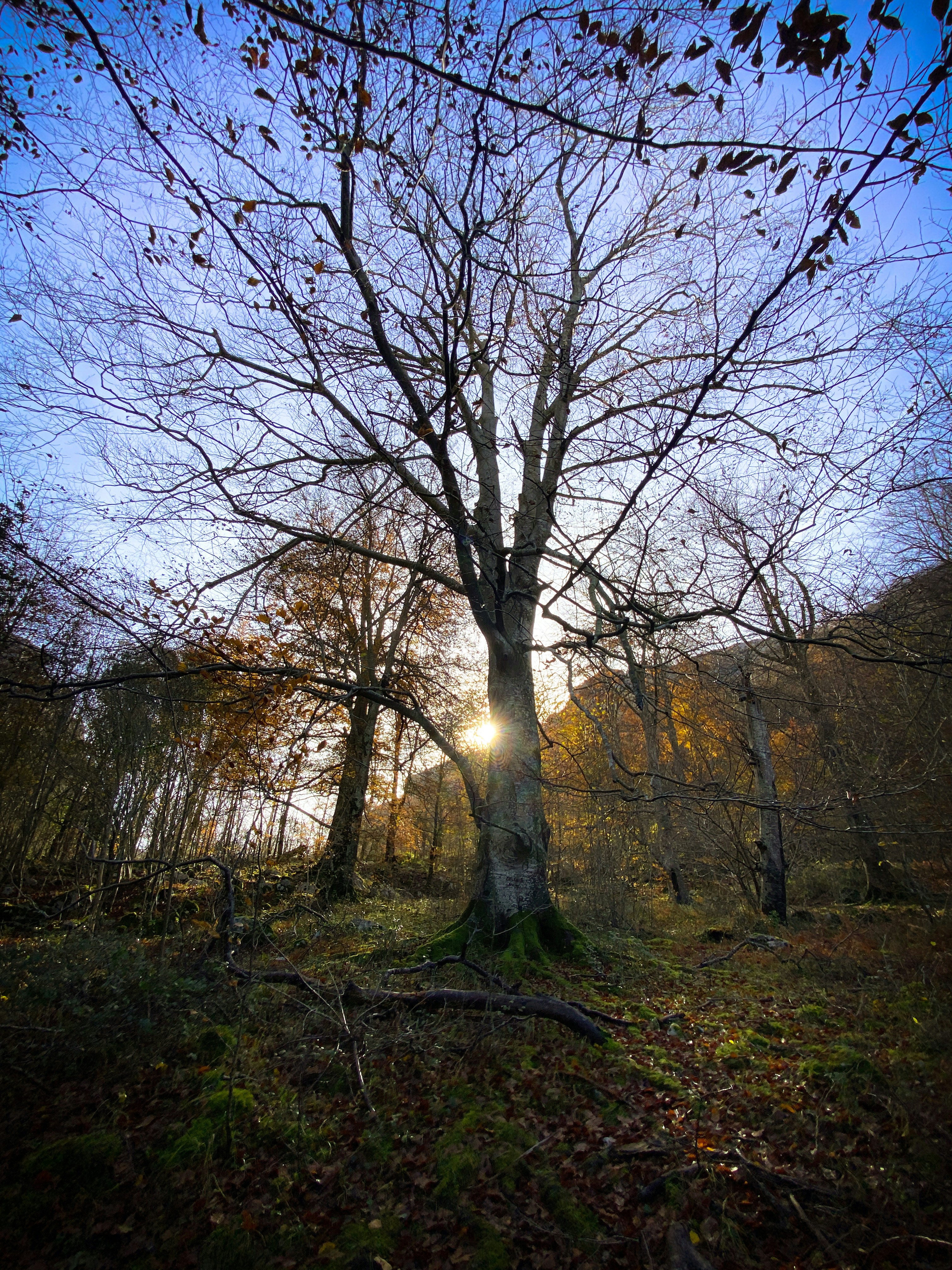 Photo by diiegolaviin