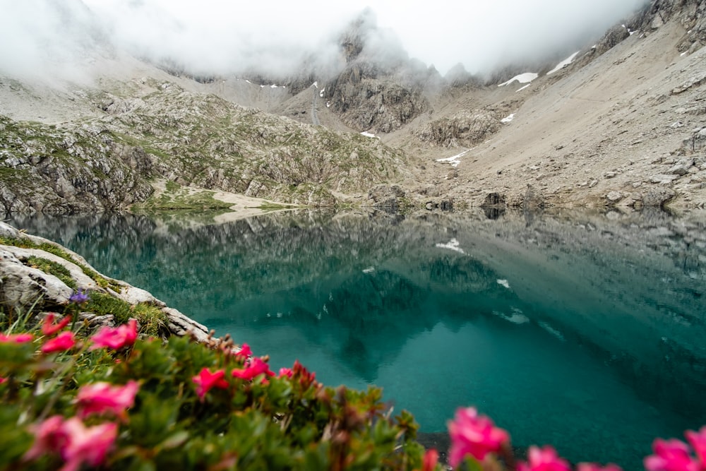 a lake surrounded by mountains and flowers in the foreground