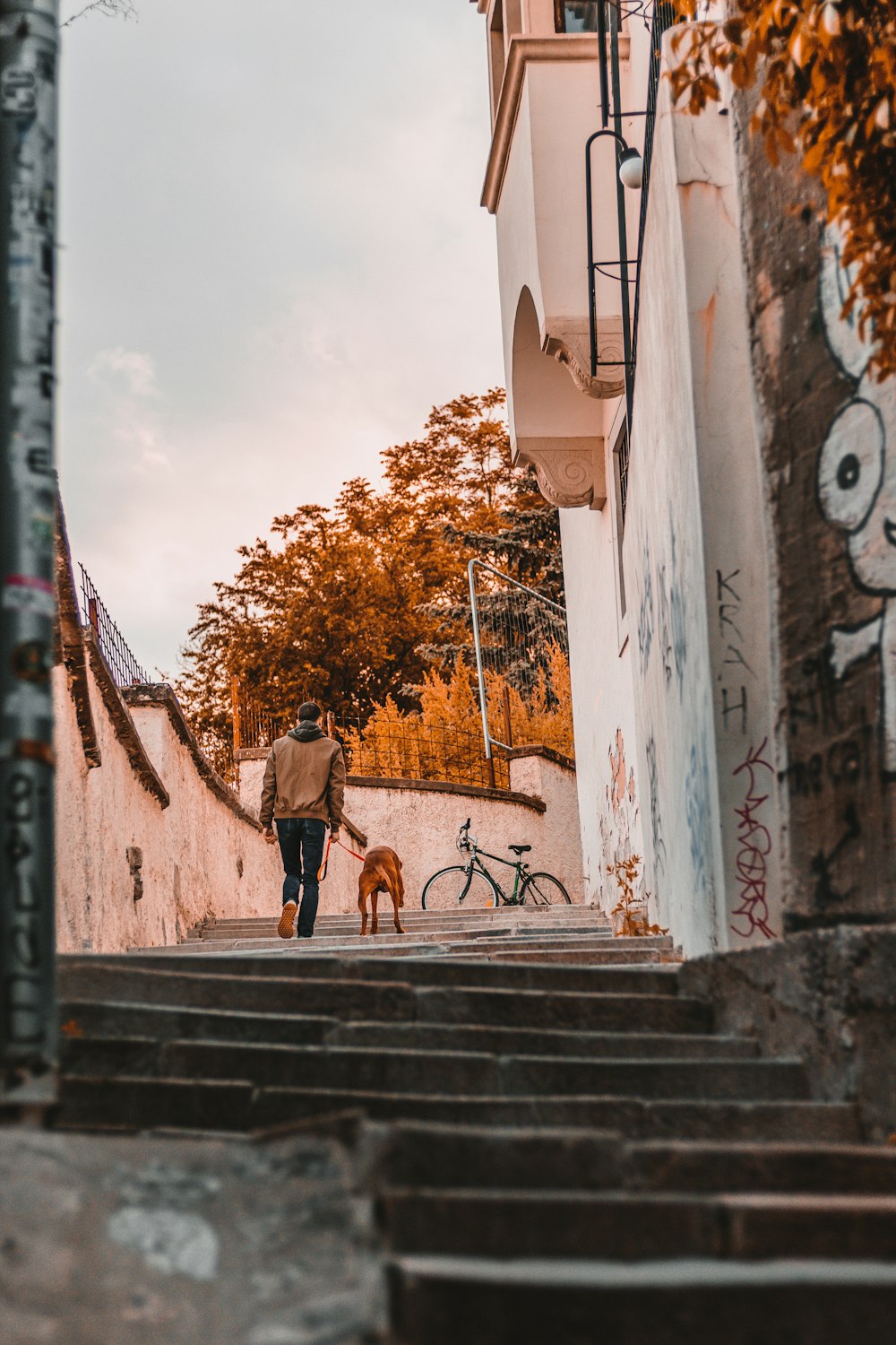 a person walking a dog down a set of stairs