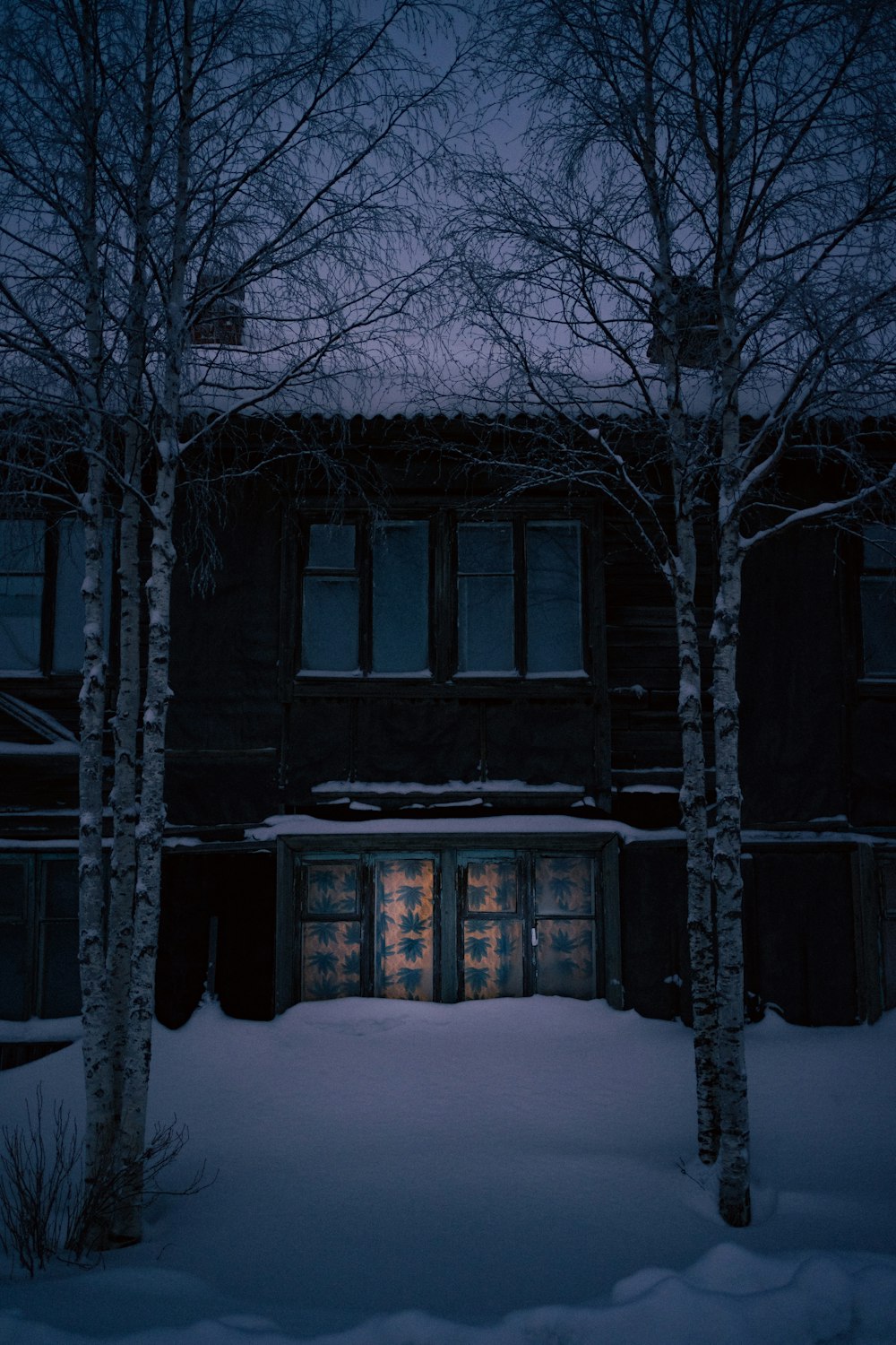 a house in the middle of a snowy forest