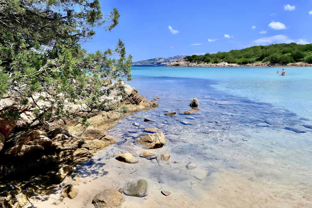 a body of water surrounded by rocks and trees