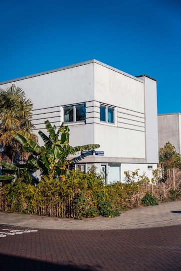 a white building with palm trees in front of it