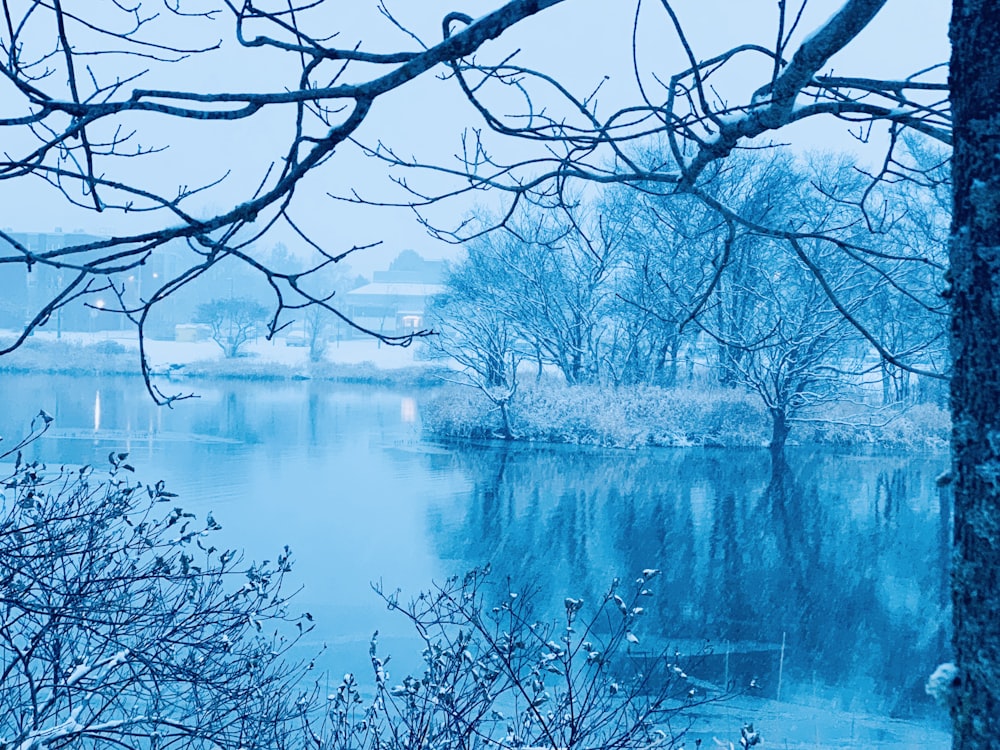 a body of water surrounded by trees covered in snow