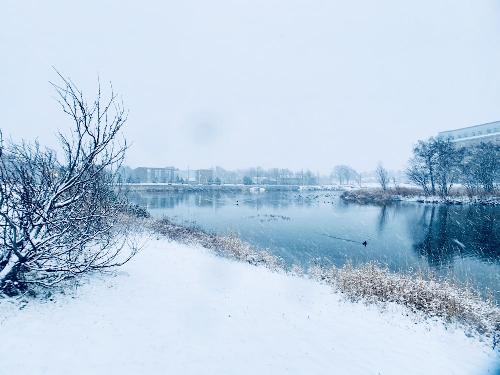 a snowy scene of a river and trees