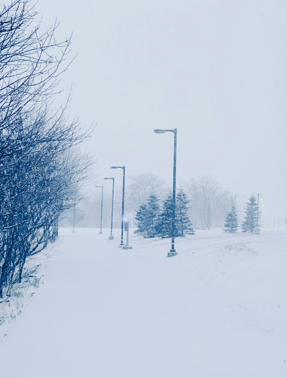 a snow covered park with trees and street lights