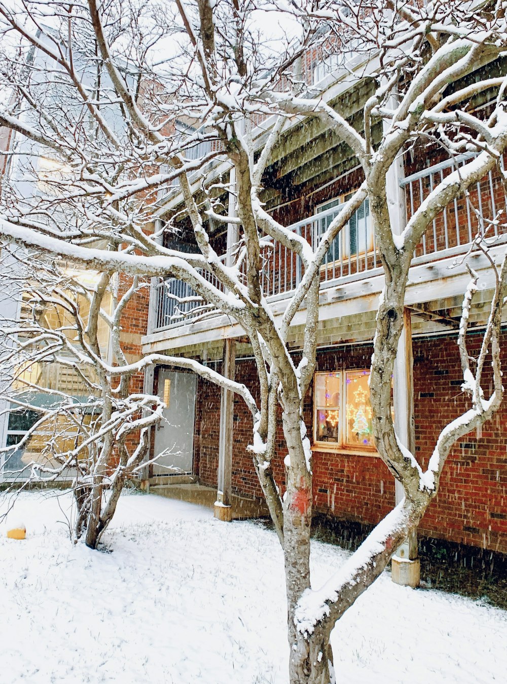 a snow covered tree in front of a brick building