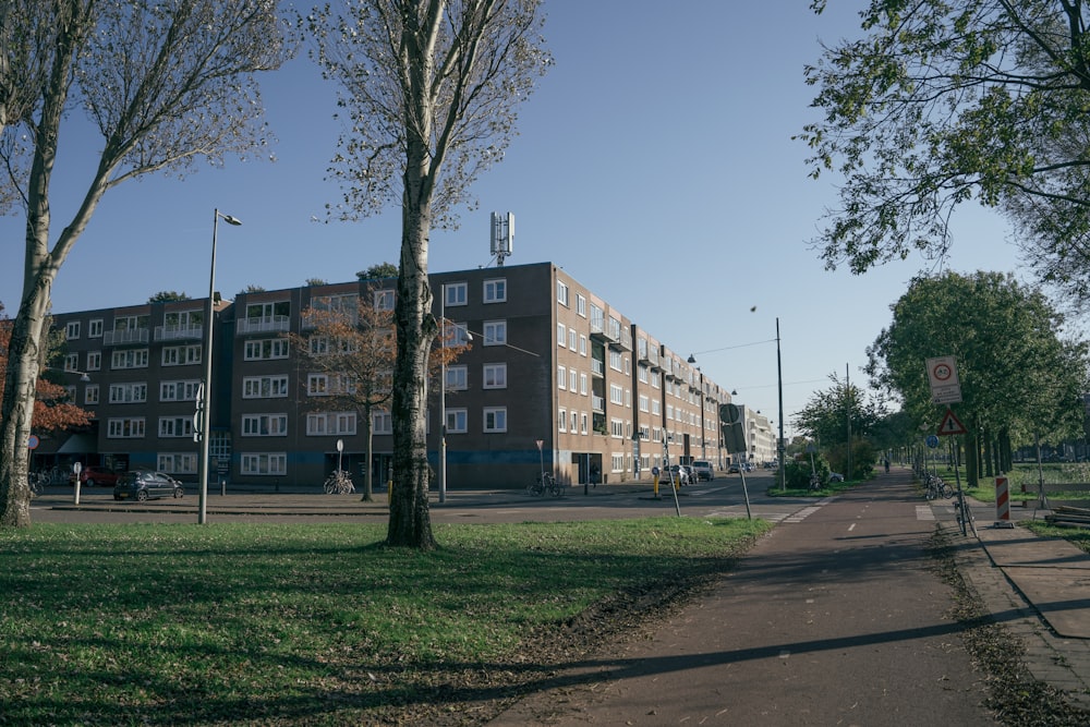 Una calle bordeada de árboles junto a un alto edificio de ladrillo