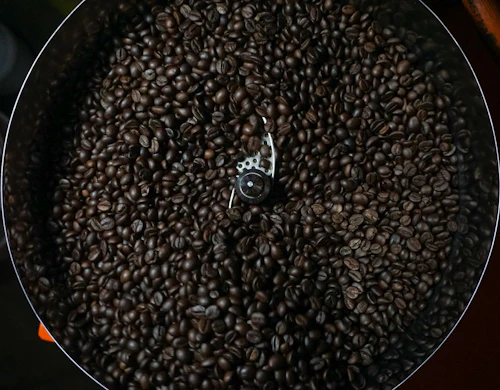 Beans roasting in a hot pan