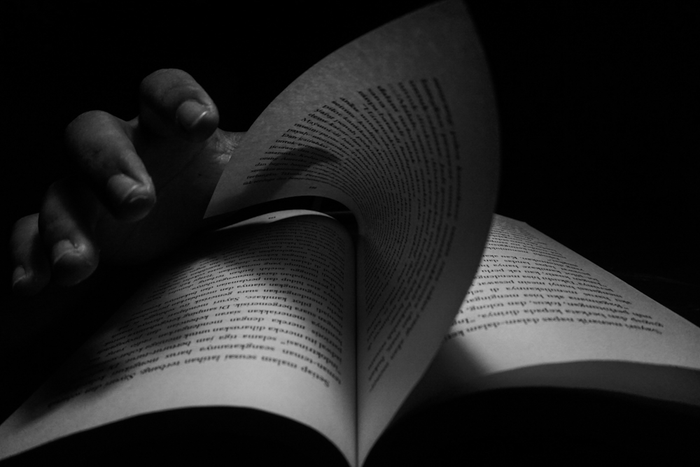 a person holding a book in their hands