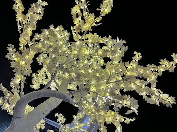 Creating an Elegant Atmosphere with Premium Artificial Trees