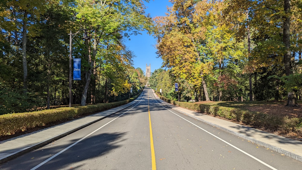 Une rue bordée de beaucoup d’arbres à côté d’une forêt