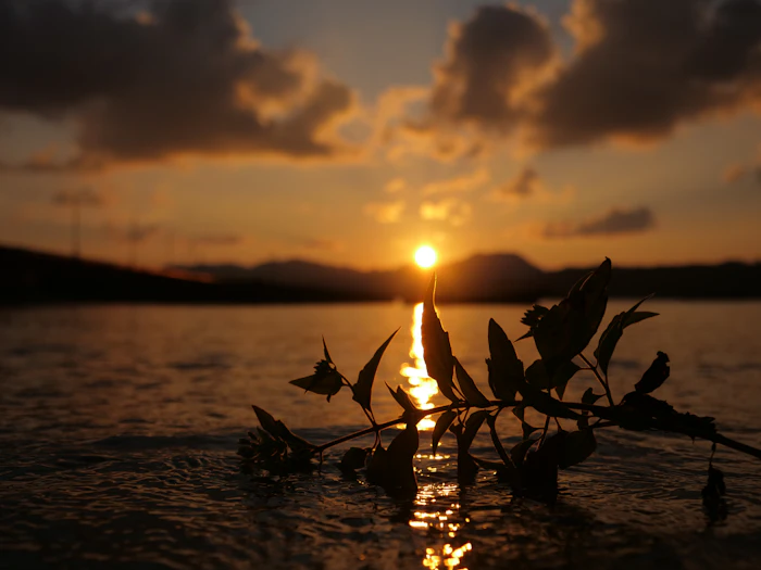 Andaman & Nicobar