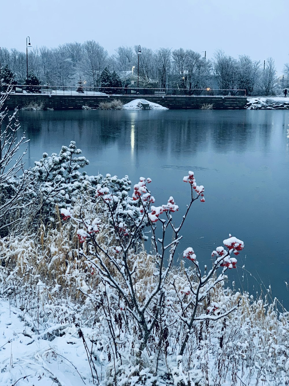 a lake with a bridge in the background covered in snow