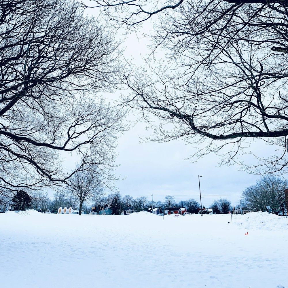 a snow covered field with trees in the background