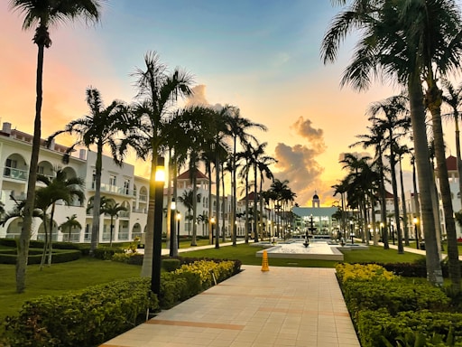a walkway leading to a hotel with palm trees