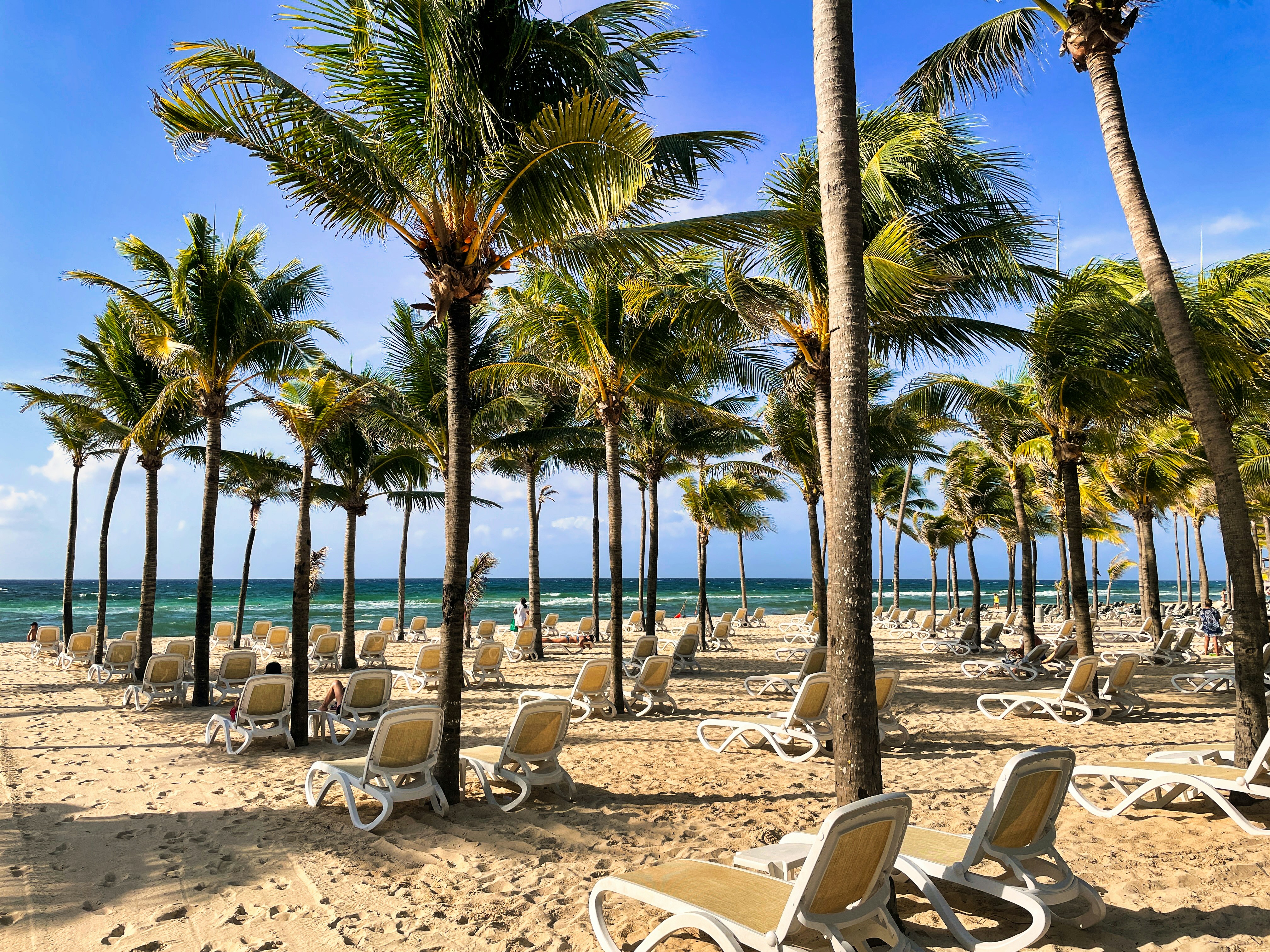 mejores hoteles en playa del carmen