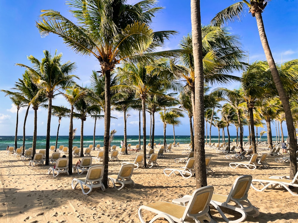 a bunch of chairs that are on a beach