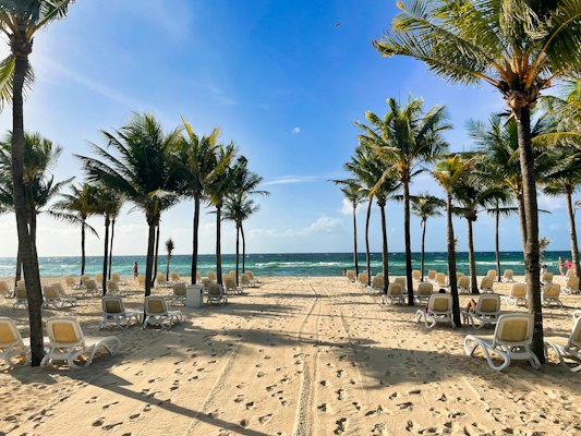 A sandy beach lined with palm trees and lawn chairs — Playa del Carmen, Mexico