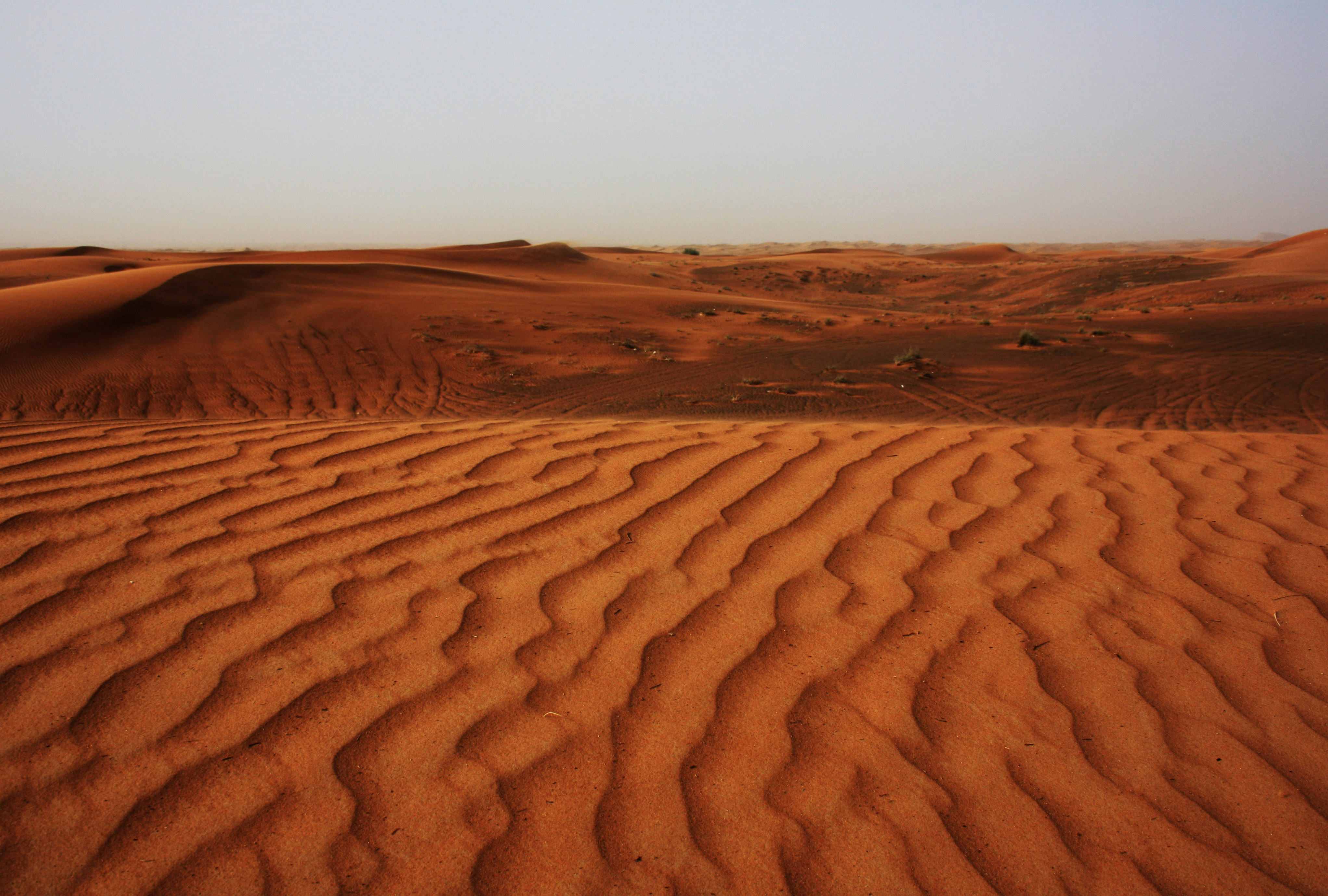 a sandy area with a blue sky in the background
