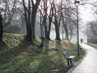 A serene park scene where two people walk side by side, deep in conversation and connection.