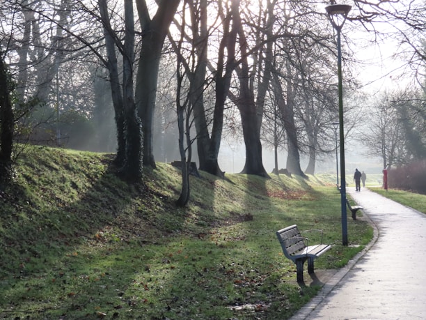 A peaceful park scene with two people walking and talking, sunlight filtering through trees.