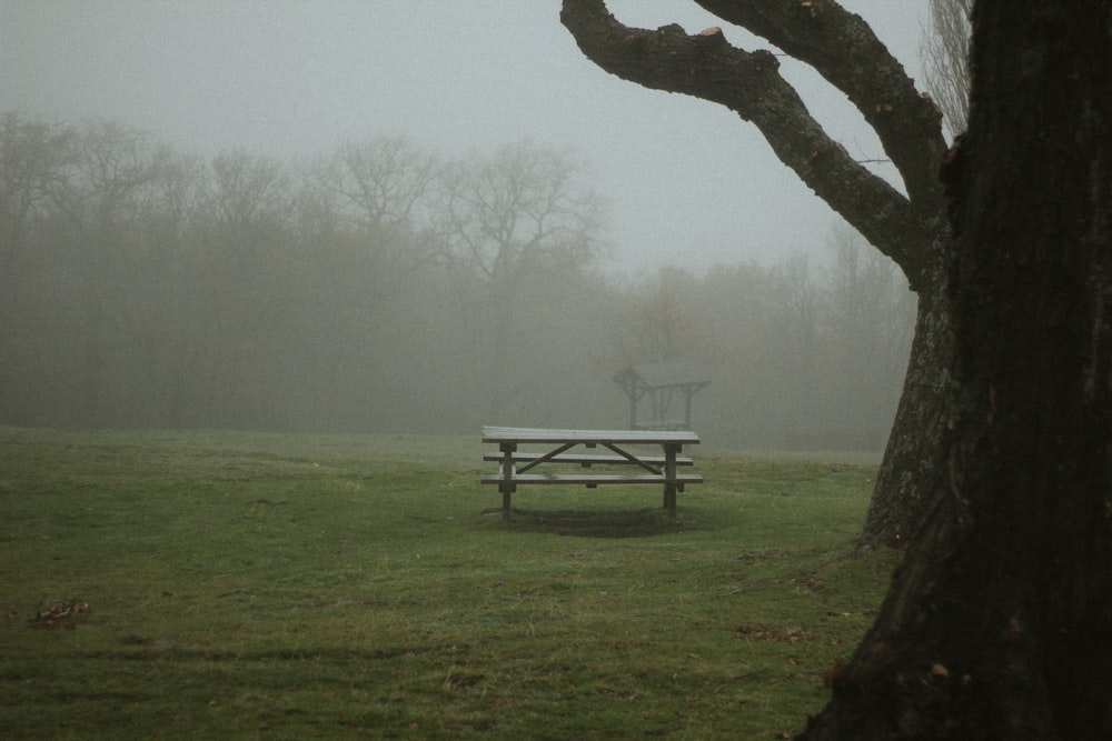 a foggy park with a bench in the foreground