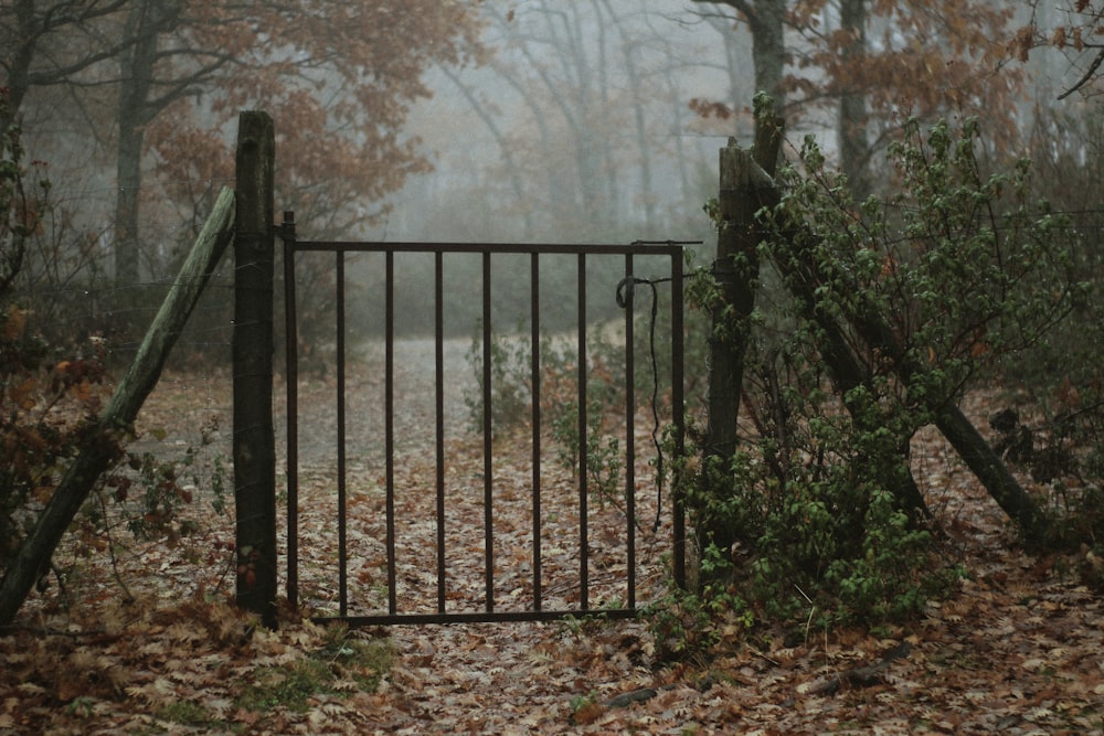 a gate in the middle of a forest with leaves on the ground