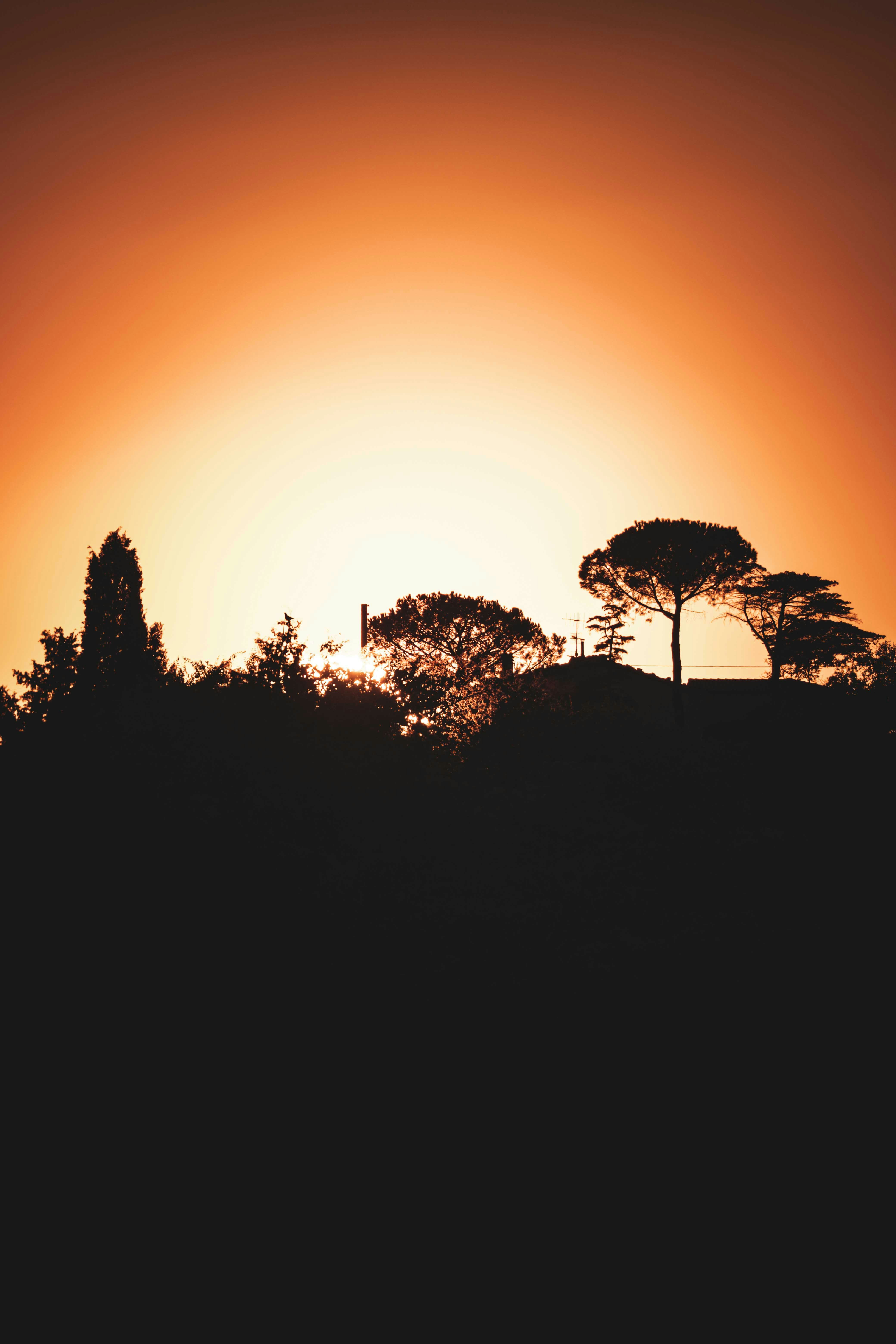 Photo by francesco_ungaro