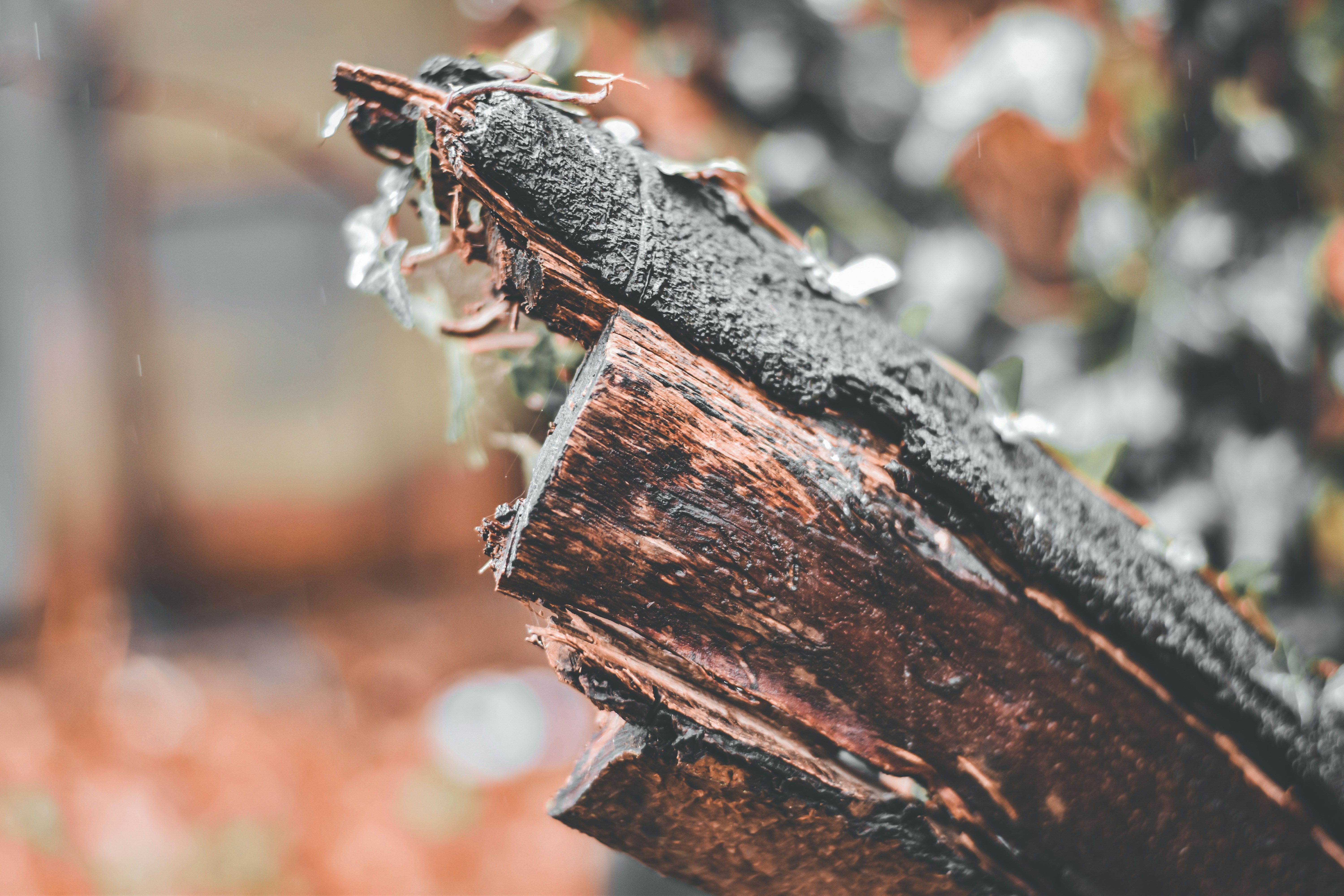 Photo by elliottmason