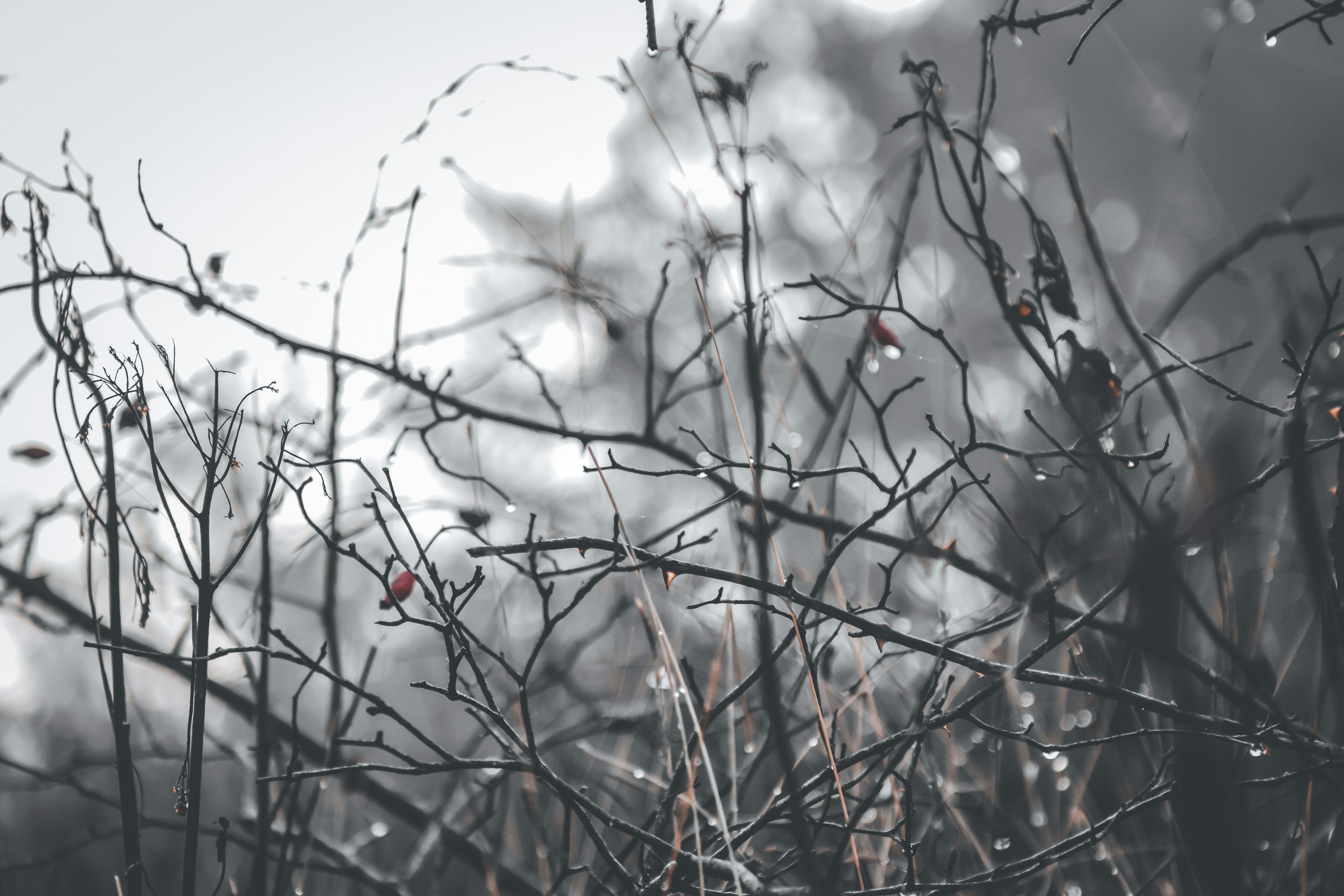 Photo by elliottmason