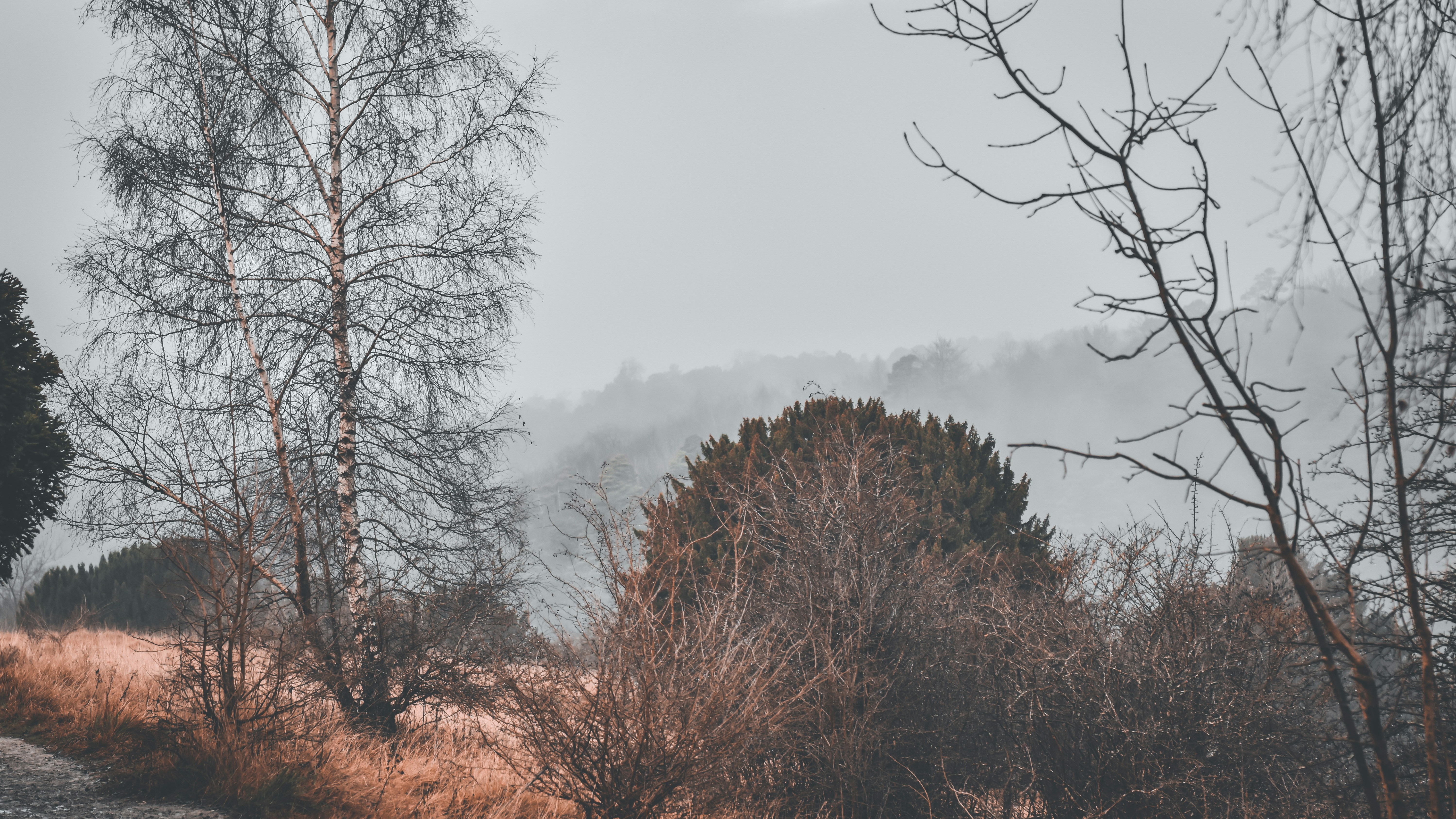 Photo by elliottmason