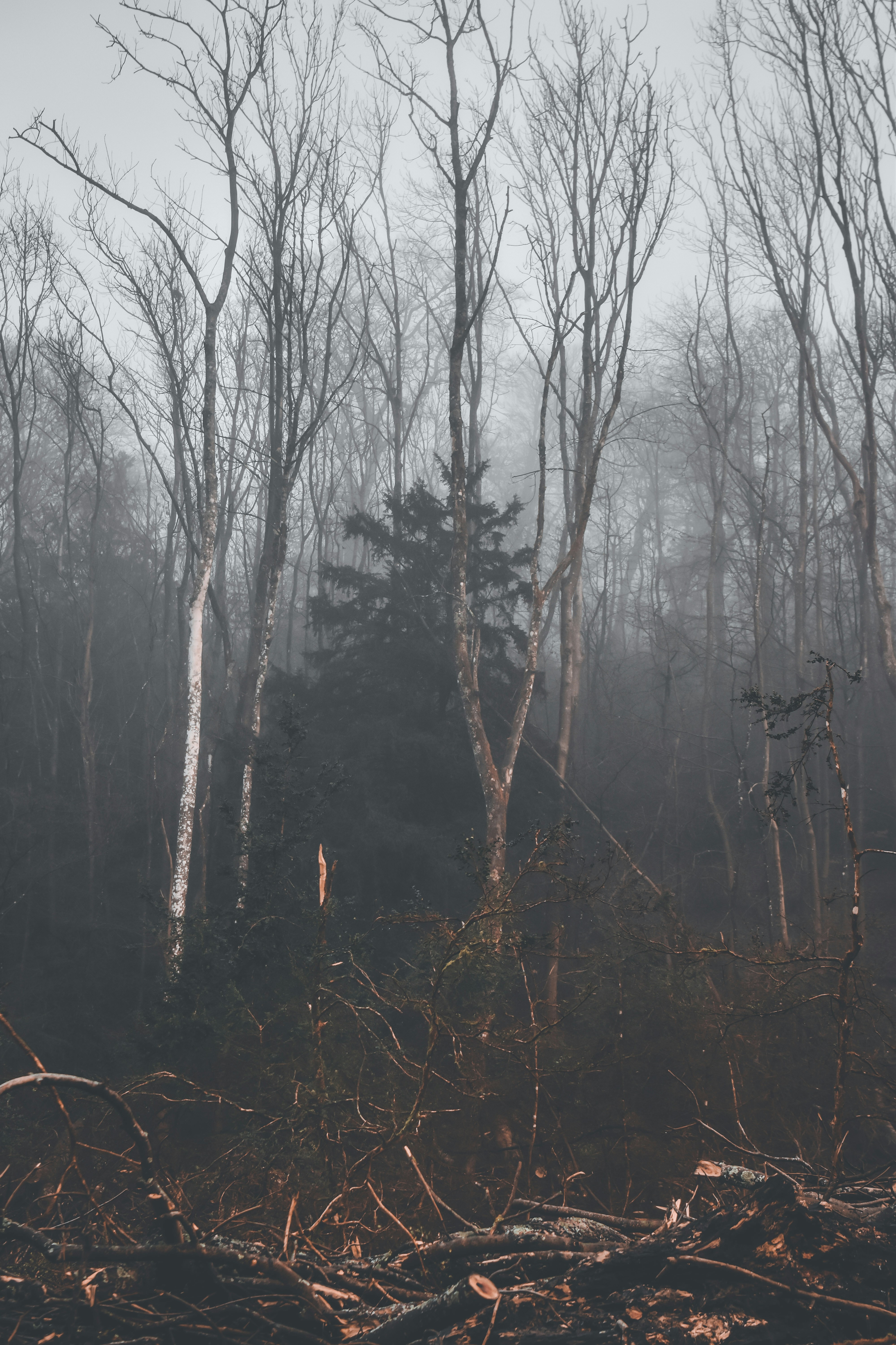 Photo by elliottmason