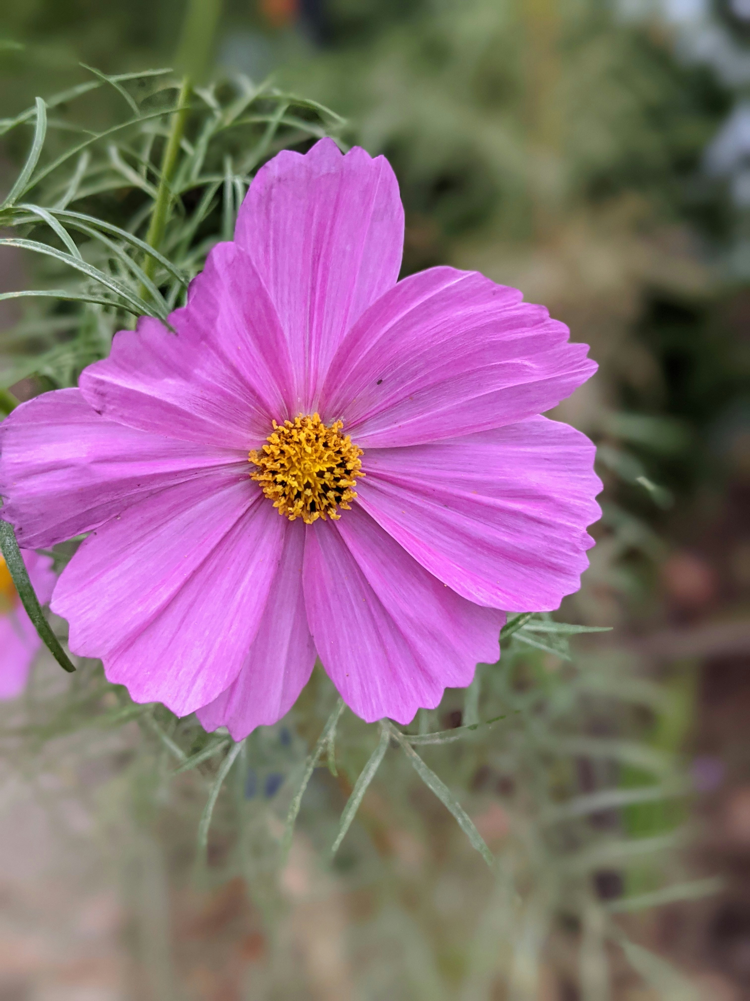 Photo by abigailsilver