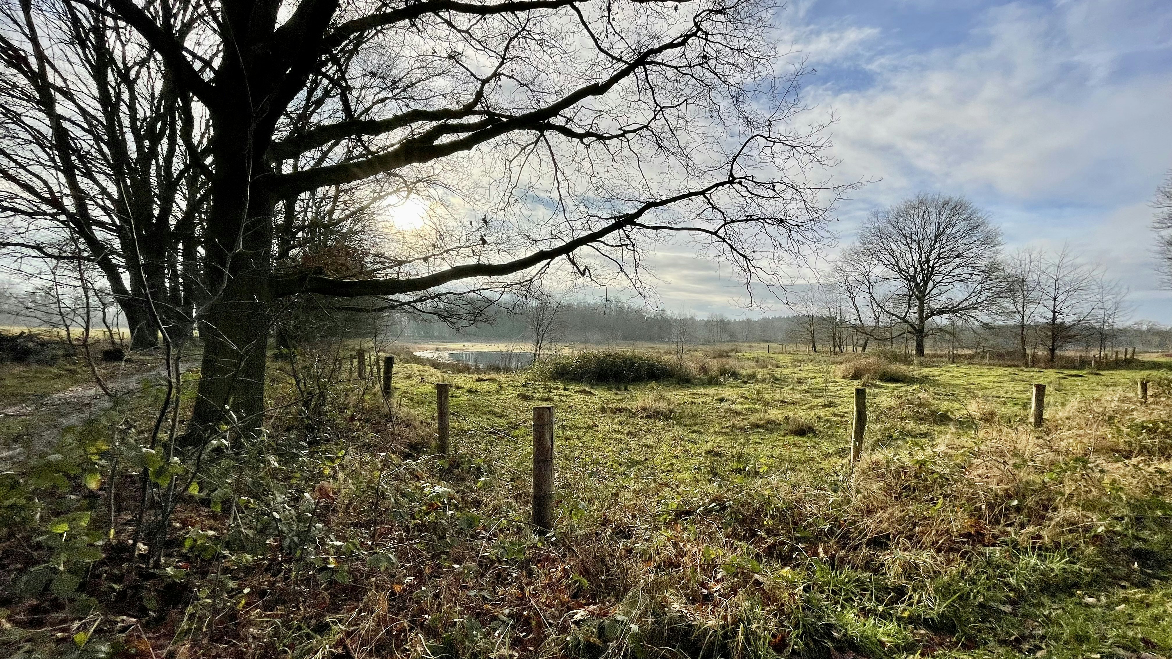 Photo by roycoendersphotography