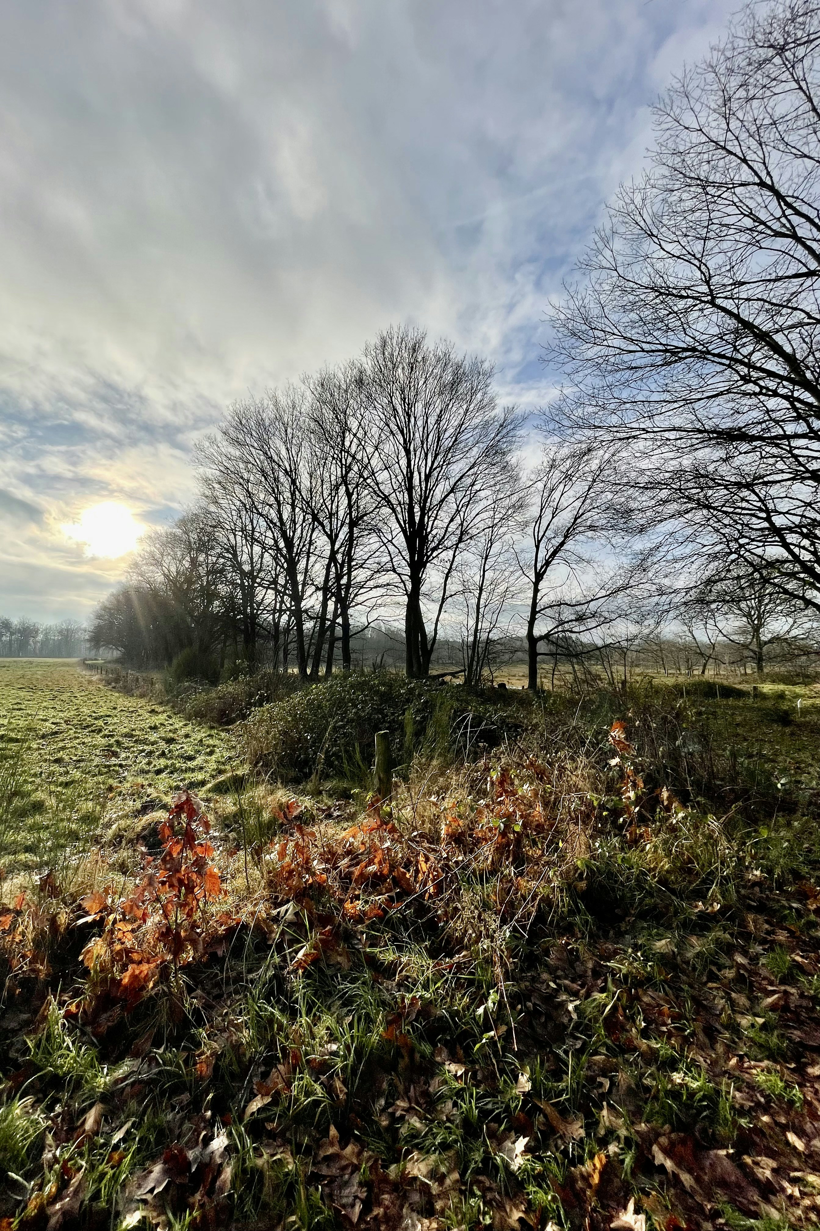 Photo by roycoendersphotography