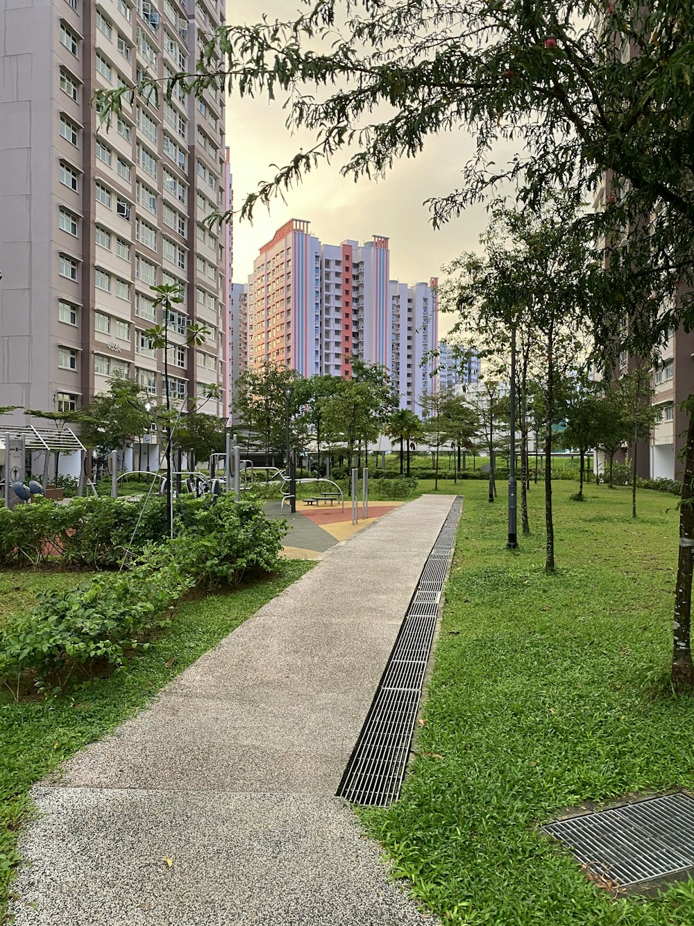 a walkway in the middle of a grassy area