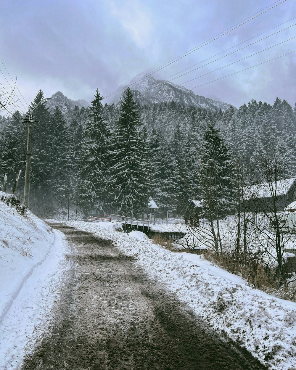 a snow covered road in the middle of a forest