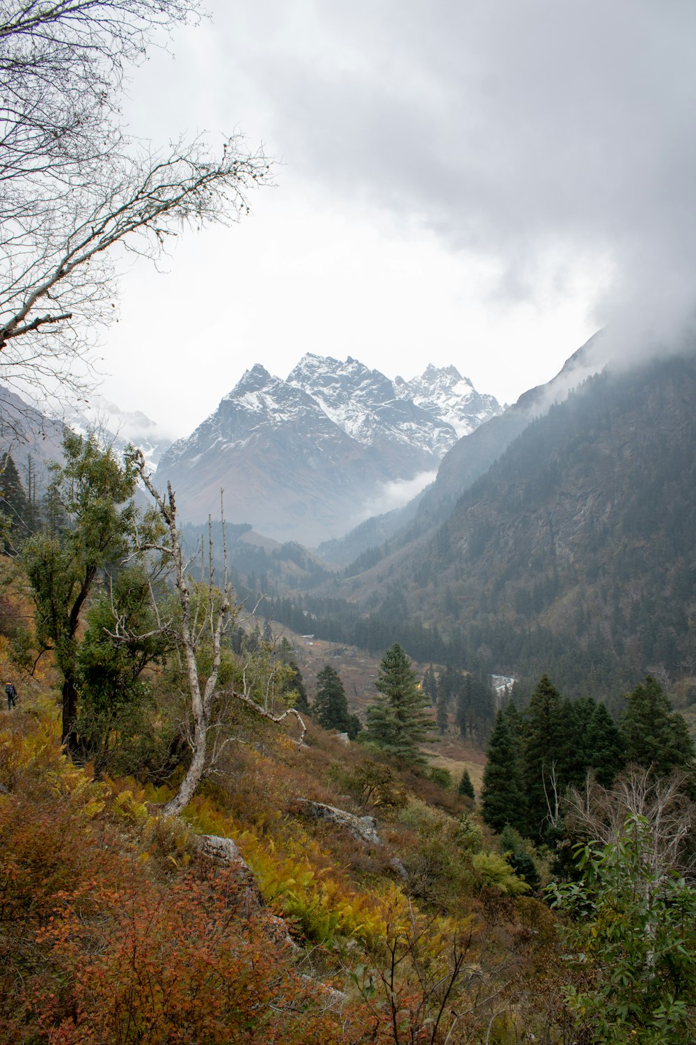 a view of a valley with mountains in the background