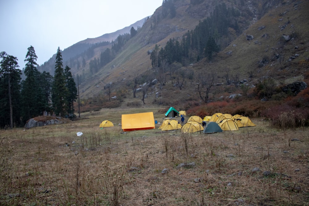 a group of tents set up in a field