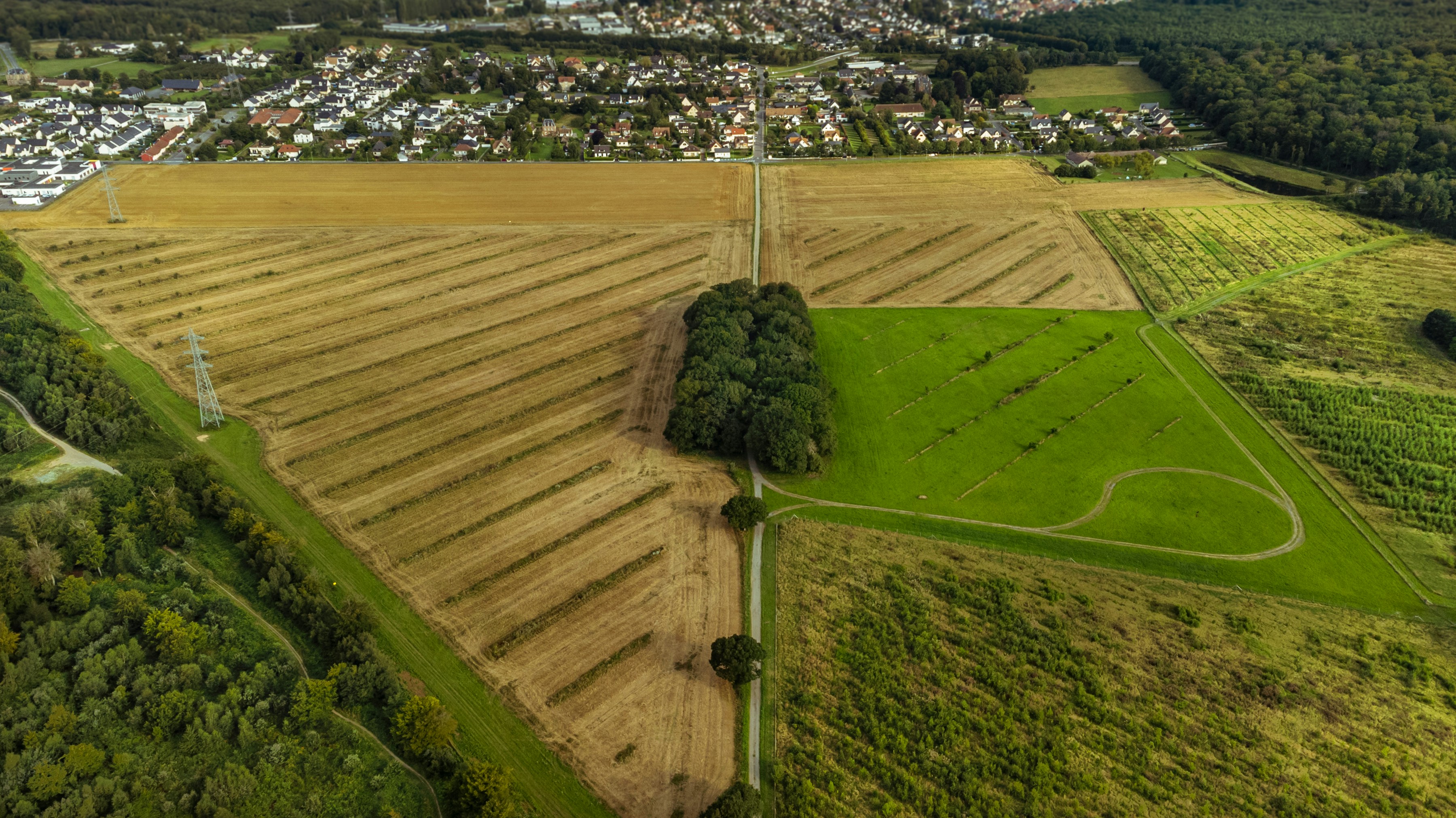 an aerial view of a large field with trees